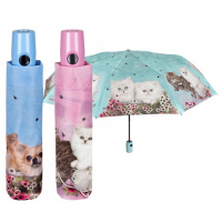 Дамски чадър в цвят тюркоаз с автоматично отваряне с дизайн на котета Perletti